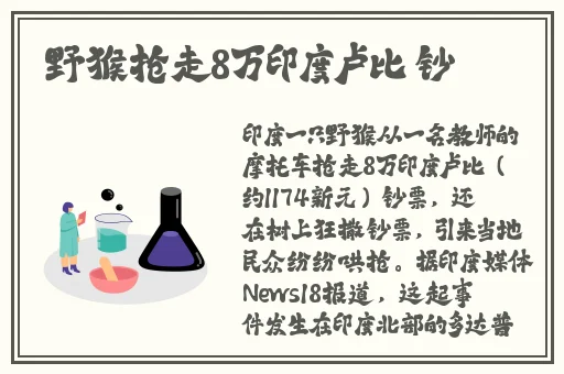 樱桃视频app污黄无限看