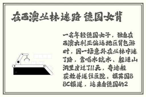 **网站导航